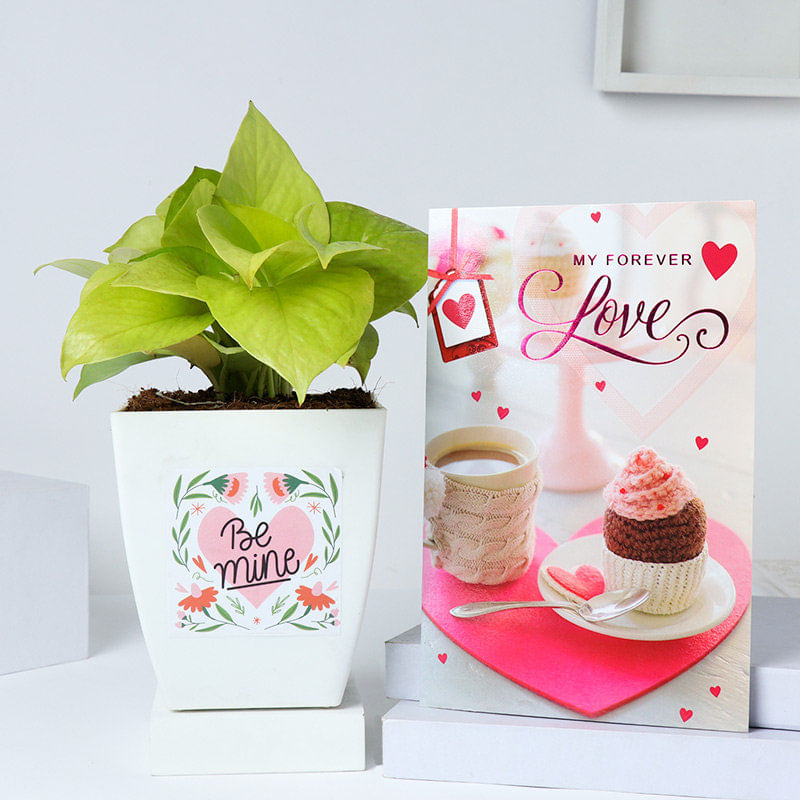 Money Plant n Forever Love Card