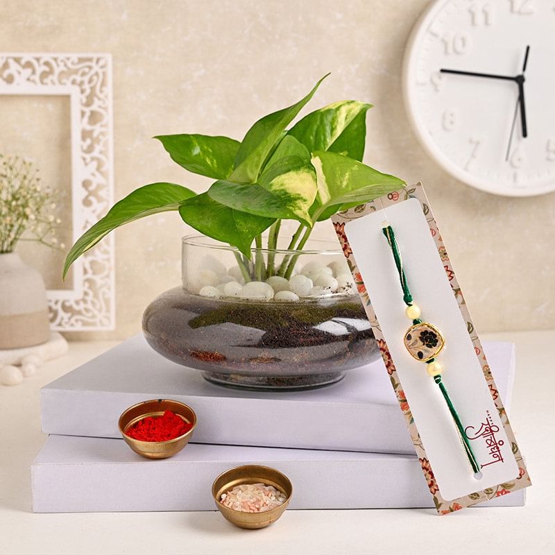 Money Plant N Green Designer Rakhi
