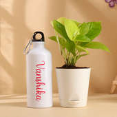 Money Plant n Personalised Sipper