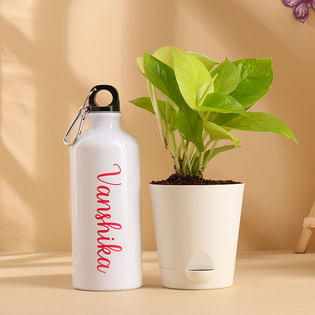 Money Plant n Personalised Sipper