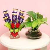 Money Plant Potted Love - Good Luck Plant Indoors in Porpourri Vase and 6 Dairy Milk Chocolates with 2 Red Roses