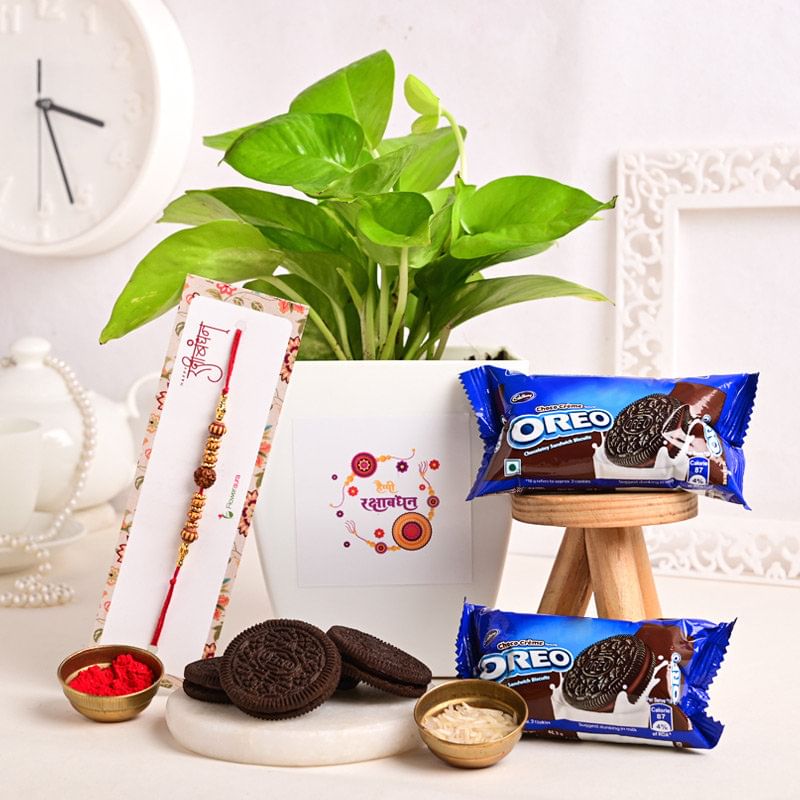 Money Plant Rakhi Hamper
