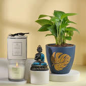 Money Plant With Candle N Buddha Statue Hamper