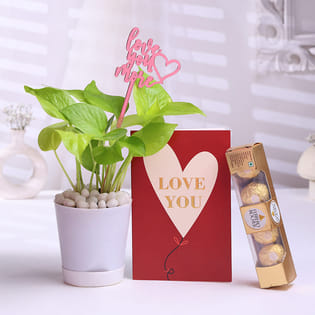 Money Plant With Chocolates N Love You Card