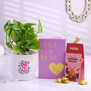 Money Plant With Chocolates N Love You Maa Card
