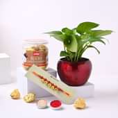 Money Plant With Designer Rakhi N Choco Rock Almonds