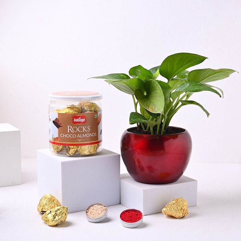 Product Image Video