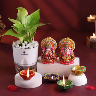 Money Plant With Divine Idols N Diyas