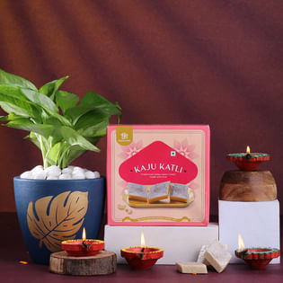 Money Plant With Diyas N Kaju Katli