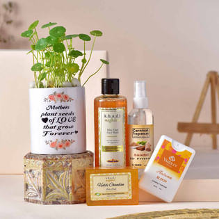 Money Plant With Fragrance N Freshness For Mom