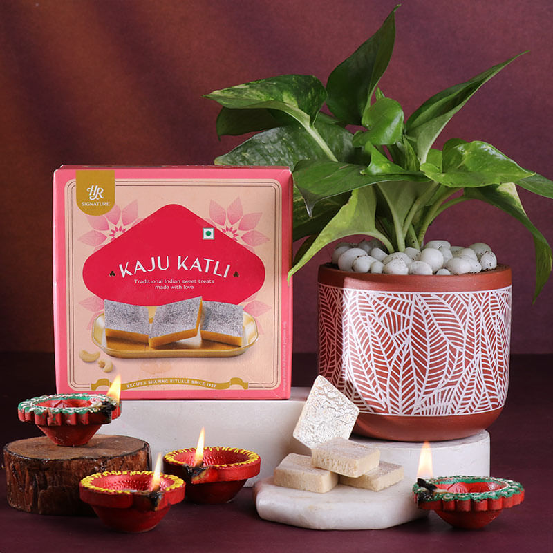 Money Plant With Kaju Katlis N Diyas