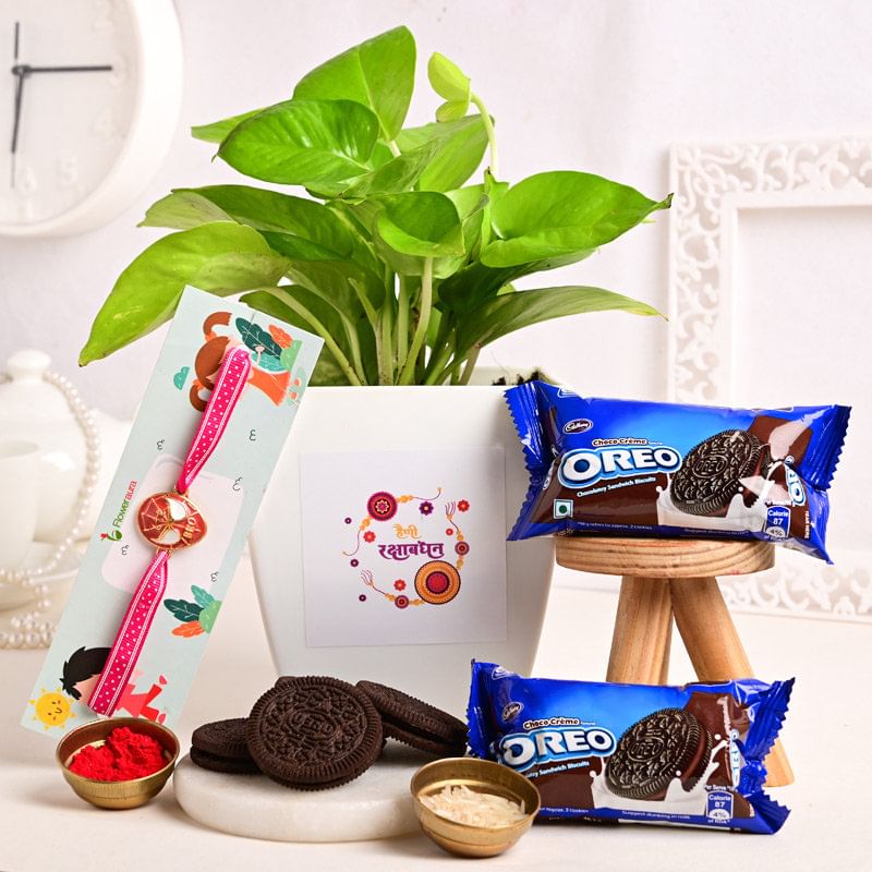 Money Plant With Kid Rakhi Hamper