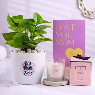 Money Plant With Love You Mom Card N Scented Candle