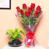 Money Plant With Roses - Good Luck Plant Indoors in Potpourri Vase with Bunch of 10 Red Roses