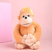 Monkey Soft Toy N Ferrero Rocher: soft toy Online