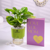 Mony Plant With Love You Mom Greeting Card