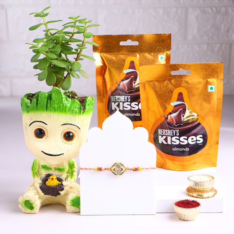 Morpankh Rakhi With Jade Plant N Hersheys Kisses