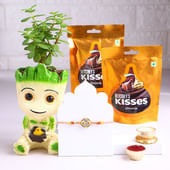 Morpankh Rakhi With Jade Plant N Hersheys Kisses