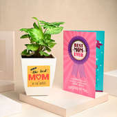 Mothers Day Syngonium Plant And Greeting Card Combo