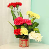 Bunch of Mixed Carnations for Mom
