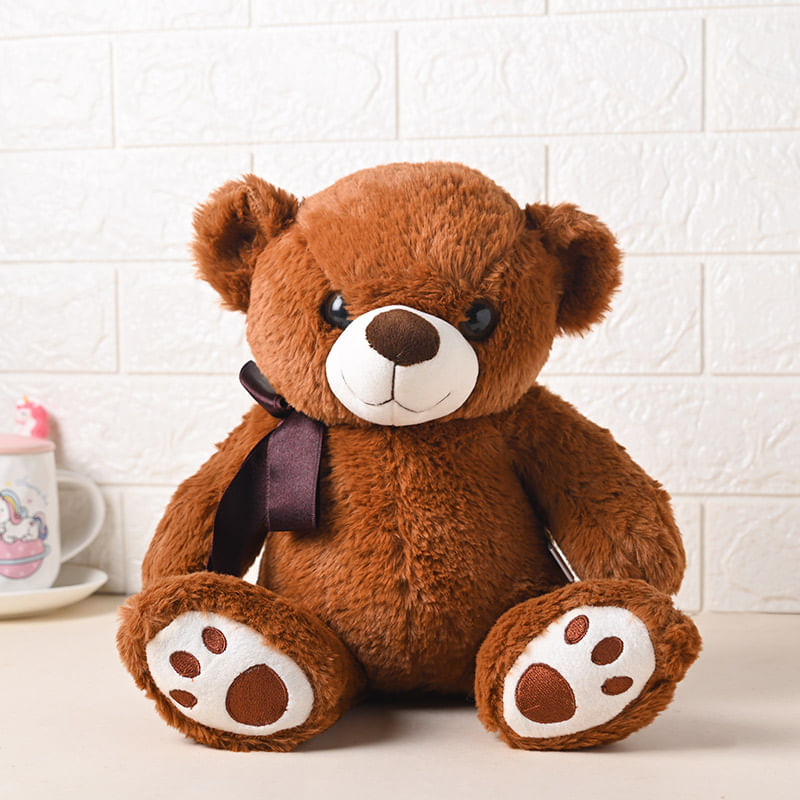 Order Mr Cool Teddy Medium 11 Inch for Teddy Day