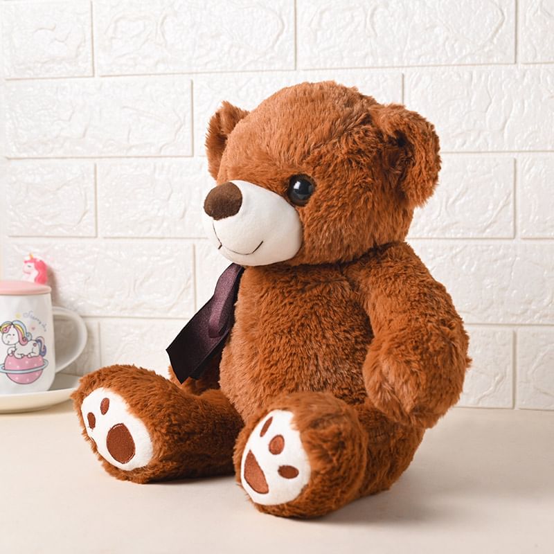 Order Mr Cool Teddy Medium 11 Inch for Teddy Day