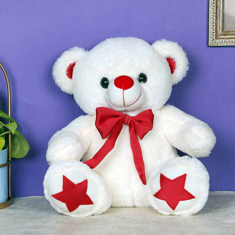 Teddy For Valentine Partner