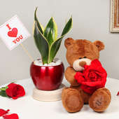Sensveria Milt Plant and Valentine's Day Teddy Combo