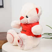 Lovely Cute Mushy Teddy Bear
