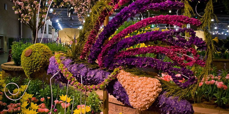 5 Must Visit Flower Shows in India