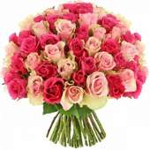 Buy Mystical Centennial Pink Roses for Valentines Day
