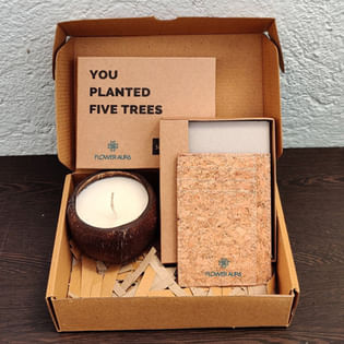 Nature Hamper