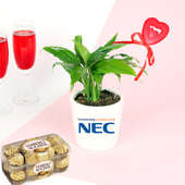 NEC Plant product