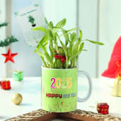 New Year Lucky Bamboo