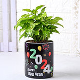 New Year Plants