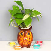 Night Owl Money Plant - Good Luck Plant Indoors in Designer Owl Vase with Set of 4 Diya