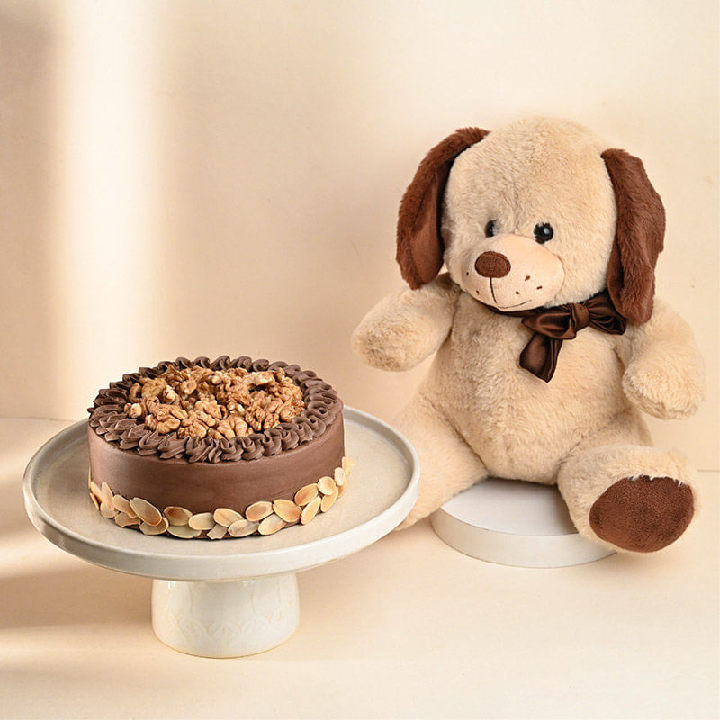 Nuts Loaded Choco Cake With Teddy Bear