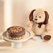 Nuts Loaded Choco Cake With Teddy Bear