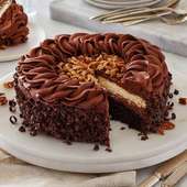 Nutty Choco Rich Cake - Chocolate Fantasy Cake
