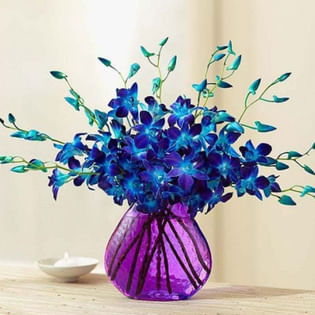 Blue Orchid Arrangement