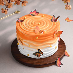Ombre Effect Butterfly Cake