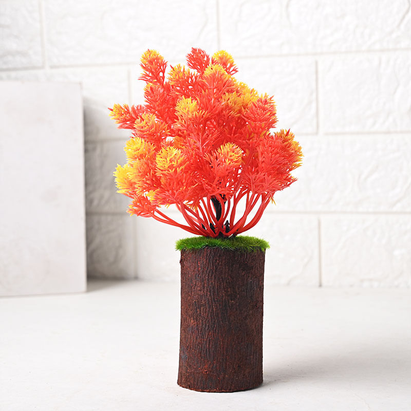 Orange Leafy Showpiece Plant