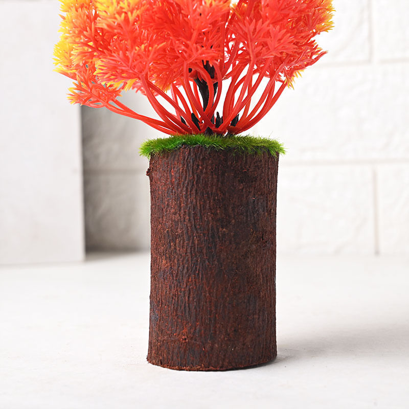 Orange Leafy Showpiece Plant Online