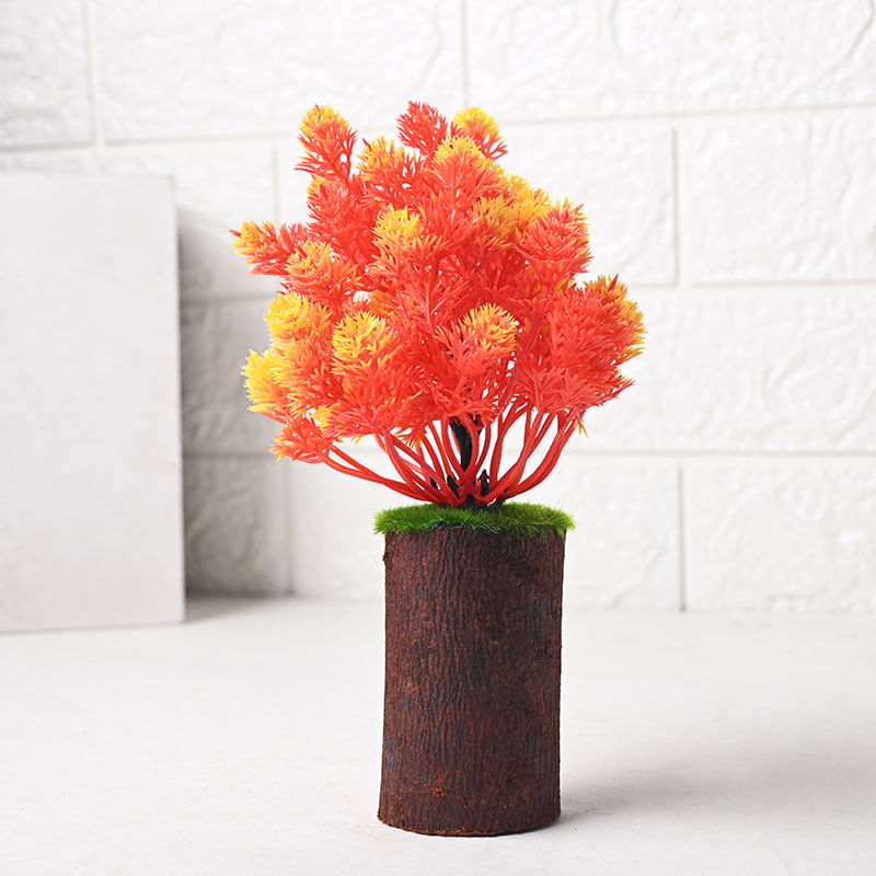 Orange Leafy Plant Online