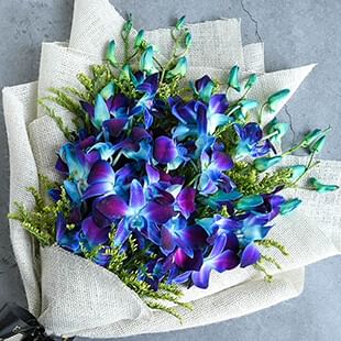 Shop for Orchids Online in India