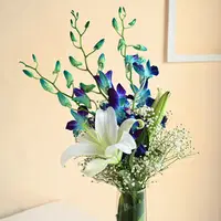 Send a Bunch of Serene Crystal Delight Flower Online, Price Rs.1095 | FlowerAura