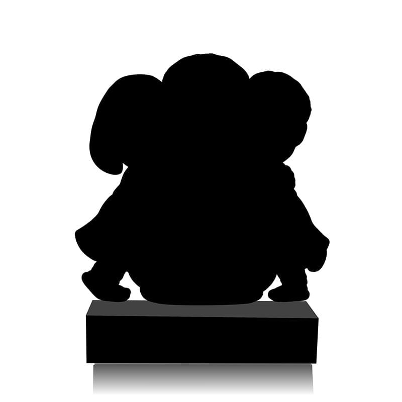 Product Image Video