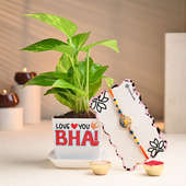 Love You Bhai Money Plant With Meenakari Rakhi