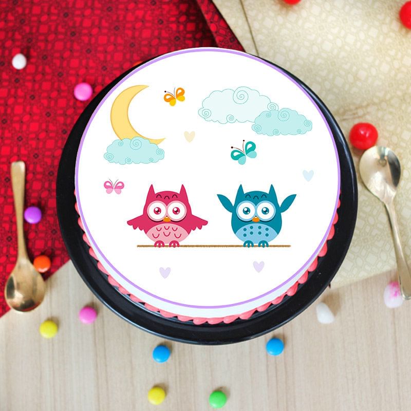 Delicate Pink & Blue Owl Poster Cake
