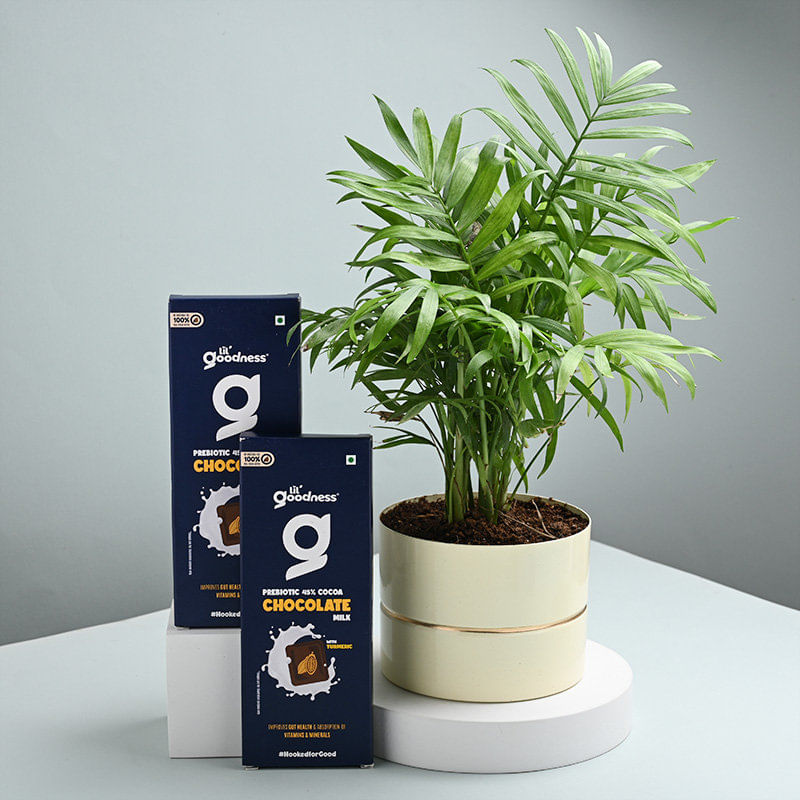 Product Image Video